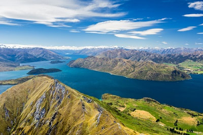 expat filing taxes in new zealand