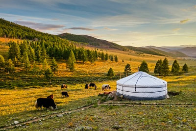 expat filing taxes in mongolia