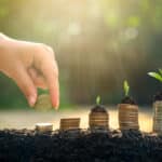 Coins growing upward, illustrating business profits reported on form 8992.