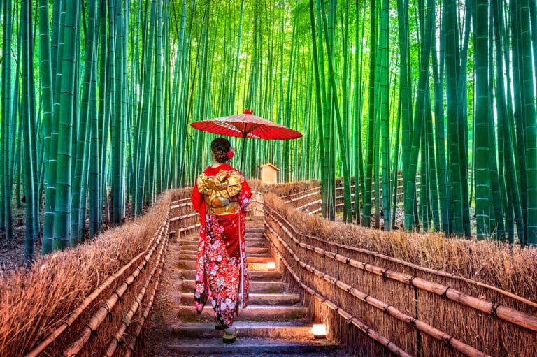Woman in a traditional kimono walking through Kyoto’s bamboo forest, reflecting the cultural experience of Americans living in Japan.