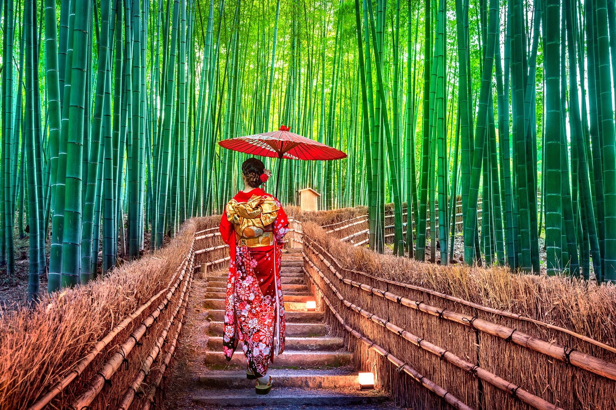 Woman in a traditional kimono walking through Kyoto’s bamboo forest, reflecting the cultural experience of Americans living in Japan.