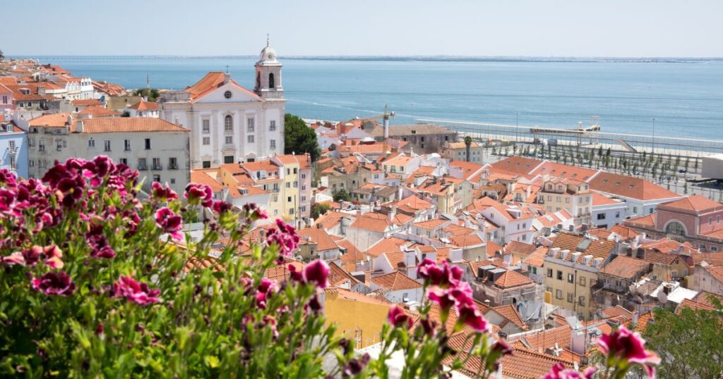 View of Portugal city from the rooftops, corner framed by flowers