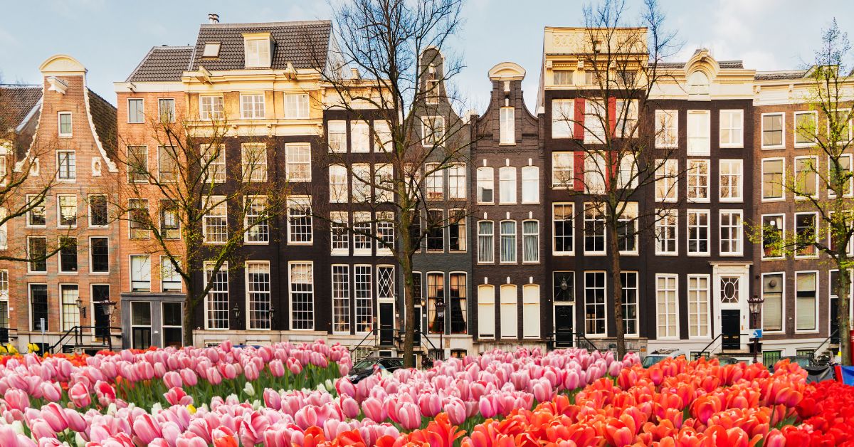 The Netherlands Tax Rate: What US Expats Should Know | Bright!Tax Expat ...