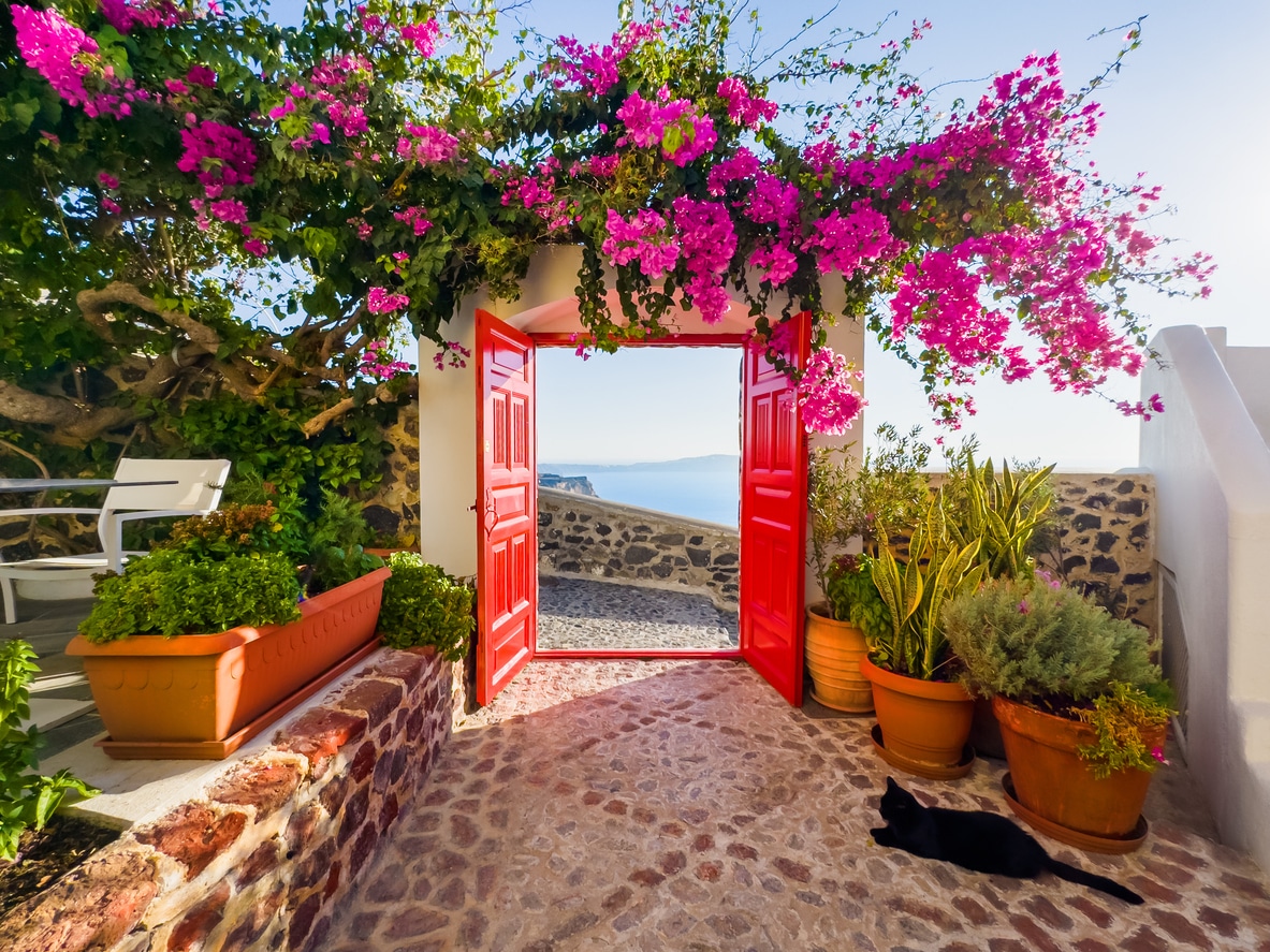 Charming patio in Santorini, Greece—an idyllic setting that prompts the question: what is a golden visa and how can it lead to residency?