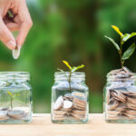 Investment jar with coins and a growing tree, representing long-term business and wealth management strategies.