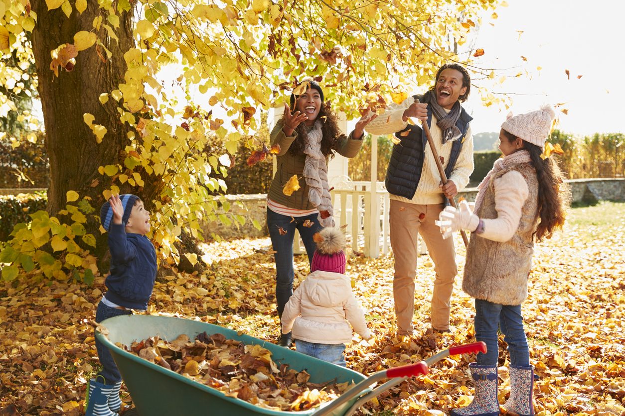 Children and parents gathering autumn leaves together, capturing the everyday joy of raising a family in Canada.