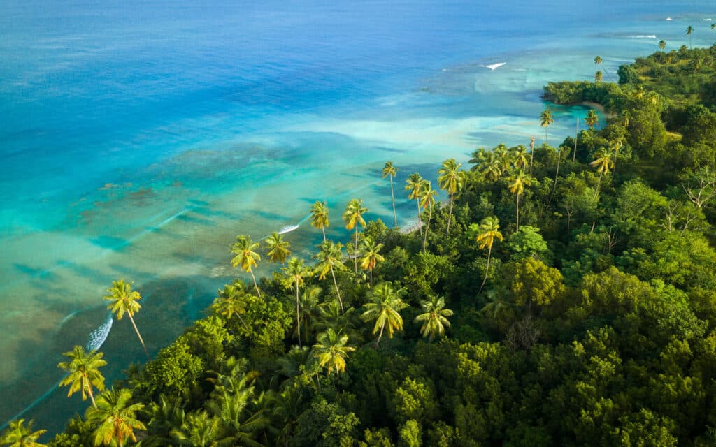 Aerial view of Buye Beach, showcasing the tropical beauty that draws many to retire in Puerto Rico.